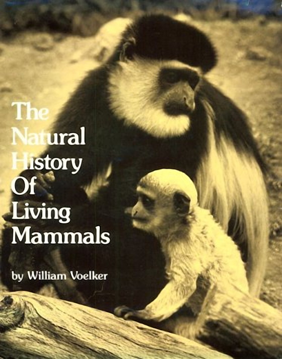 The Natural History of Living Mammals – Information Today Books